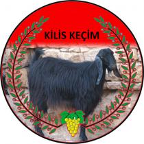 kilis keçim