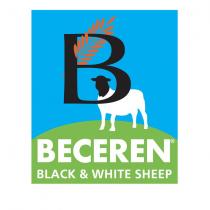 beceren black & white sheep