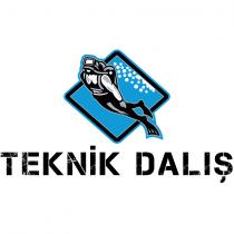 teknik dalış