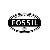 fossil