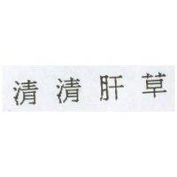 清清肝草