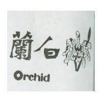 白蘭 ORCHID 
