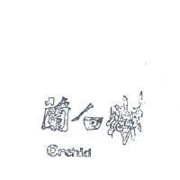 白蘭 ORCHID 
