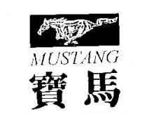 寶馬 MUSTANG 及圖