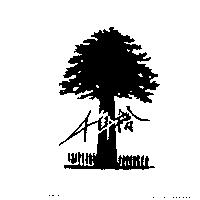 千年檜及圖