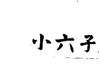 小六子