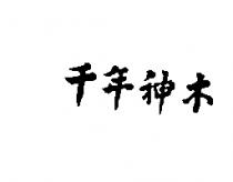 千年神木