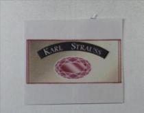 KARL STRAUSS 及圖