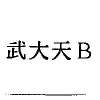 武大天 B