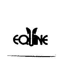EQUINE 設計圖