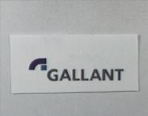 GALLANT 及圖