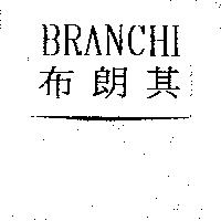 BRANCHI 布朗其
