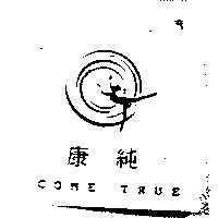 康純 COME TRUE 及圖