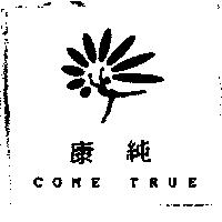 康純 COME TRUE 及圖