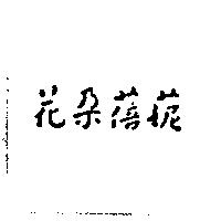 花朵蓓