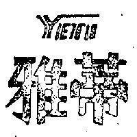 雅蒂 YETI 