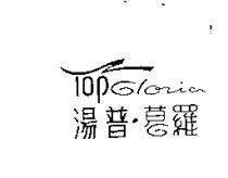 湯普葛羅 TOP GLORIA