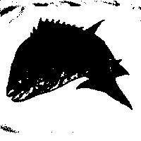 滿點魚食有限公司標章