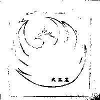 火鳳凰及圖形
