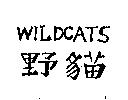 WILDCATS 野貓