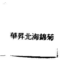 華昇北海錦菊