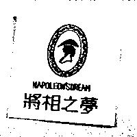 將相之夢及圖 NAPOLEON'S DREAM