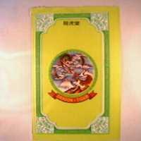 龍虎堂百應膊包裝圖
