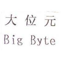 大位元 Big Byte