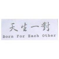 天生一對 Born For Each Other