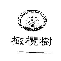 橄欖樹及圖 OLIVE NOKI