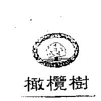 橄欖樹及圖 OLIVE NOKI