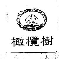 橄欖樹及圖 OLIVE NOKI
