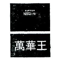 萬華王及圖樣