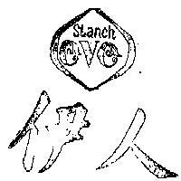 伊人及圖 STANCH 