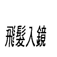 飛髮入鏡