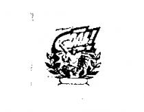 GOAL 及圖