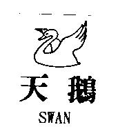 天鵝 SWAN 及圖