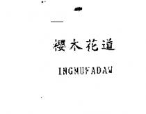 櫻木花道 INGMUFADAW