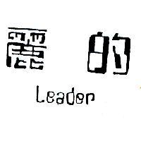 麗的 Leader