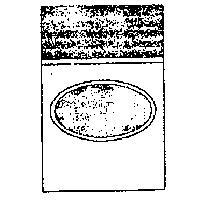 CRAVEN STARIPED LABFL 