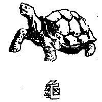 龜及圖