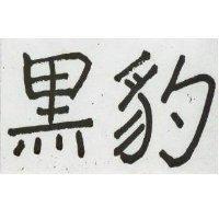 黑豹