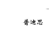 普迪思
