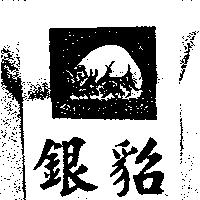 銀貂 Silver mink 及圖