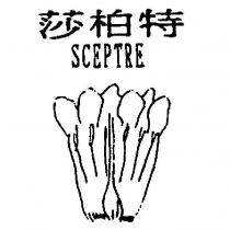 莎柏特 SCEPTRE 及圖