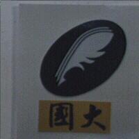 國大及羽毛圖