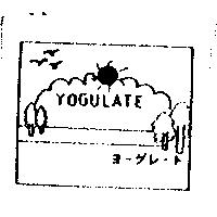 YOGULATE ヨ–グレ–ト及圖