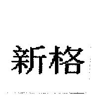 新格