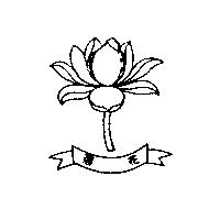 荷花及圖