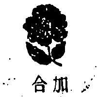 加合及圖(彩色)